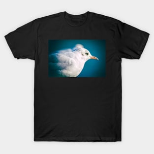 Juvenile Black-headed Gull T-Shirt